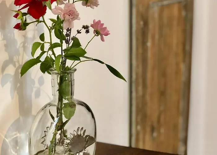 Aux Deux Lys Bed and Breakfast 3*